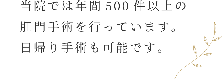 当院では年間500件以上の肛門手術を行っています。日帰り手術も可能です。