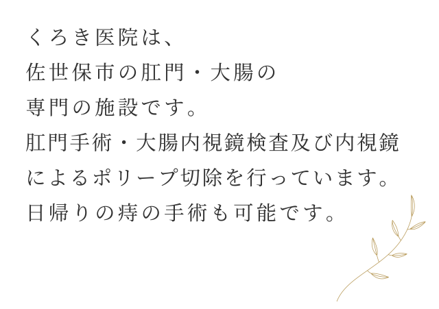 くろき医院は、佐世保市の肛門・大腸の専門の施設です。肛門手術・大腸内視鏡検査及び内視鏡によるポリープ切除を行っています。日帰りの痔の手術も可能です。